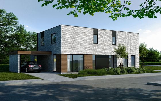 Actie De Groene Savel