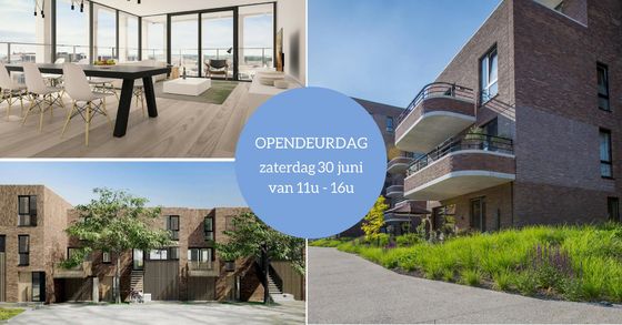 opendeur oHase