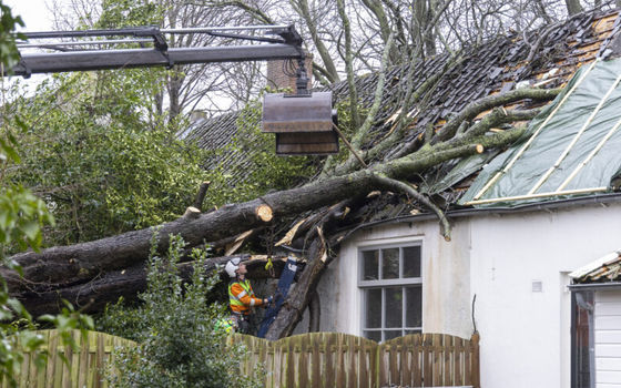 Wat te doen bij stormschade?