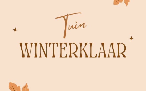 Vijf tips om je tuin winterklaar te maken