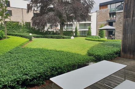 Appartement te huur in Genk