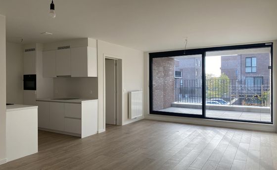 Appartement te huur in Hasselt