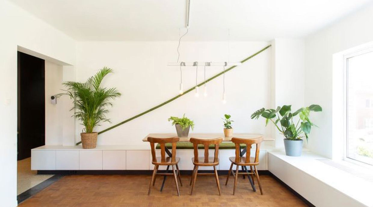 Appartement te huur in Hasselt