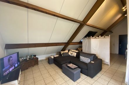 Appartement te huur in Maaseik