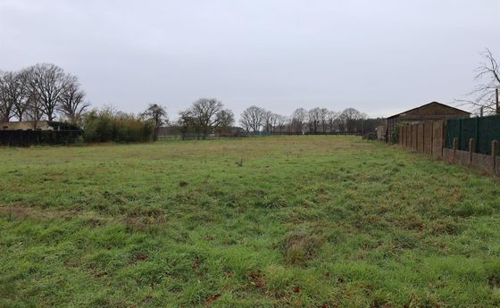 Bouwgrond te koop in Meeuwen-Gruitrode