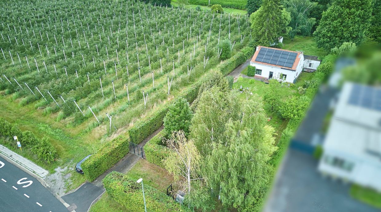 Grond te koop in Hasselt