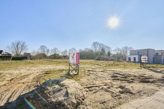 Grond te koop in Maaseik