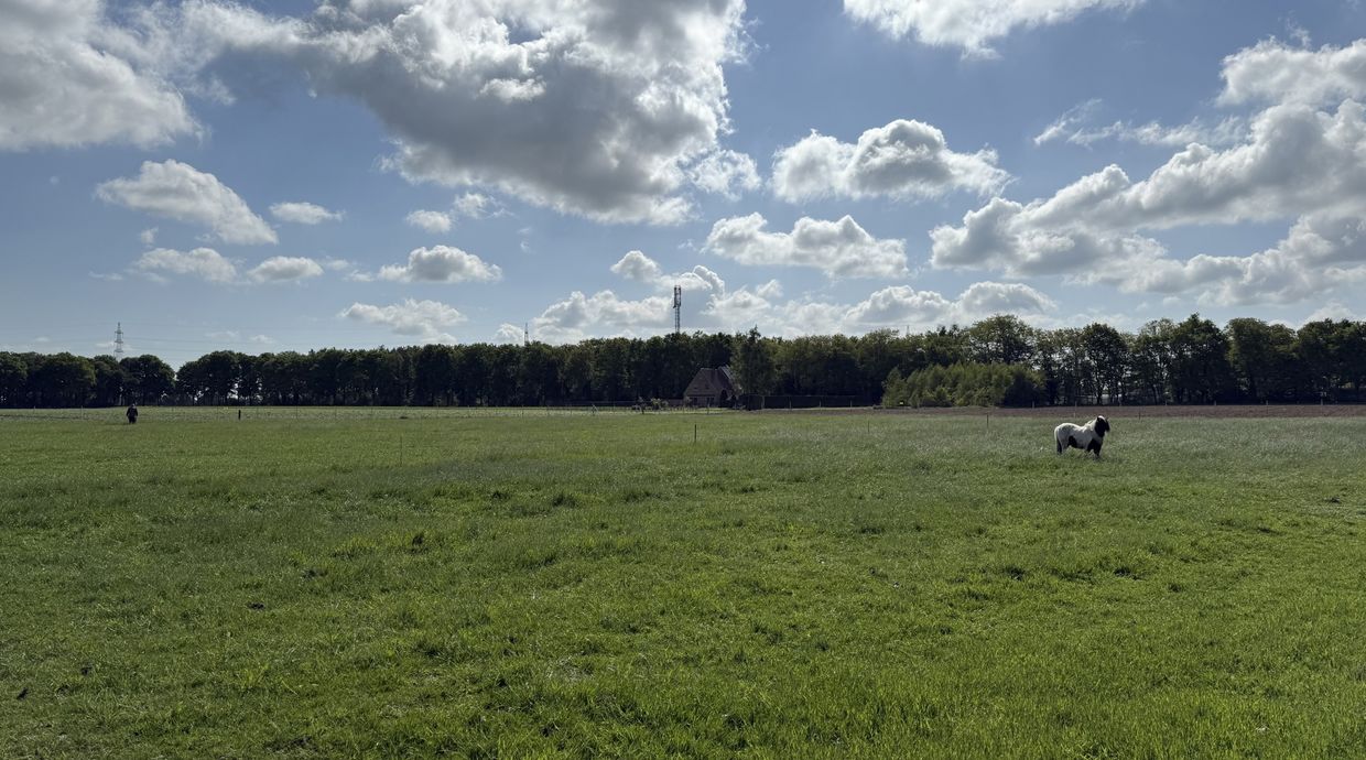 Huis te huur in Meeuwen-Gruitrode