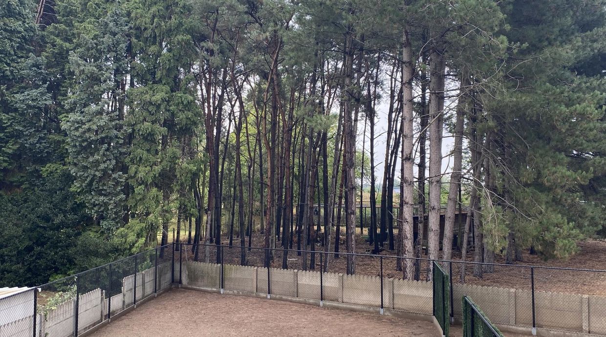 Huis te huur in Paal