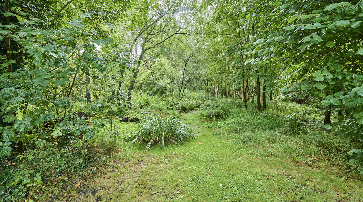 Huis te koop in Peer