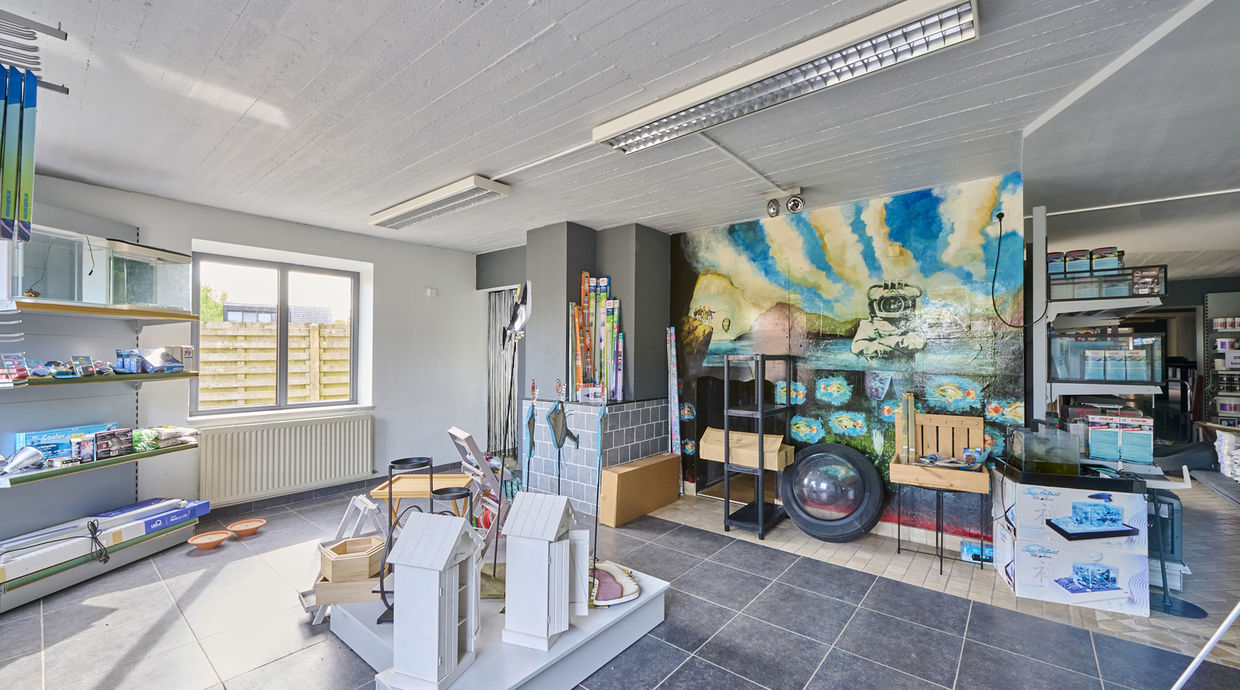 Individuele handelszaak te koop in Geel