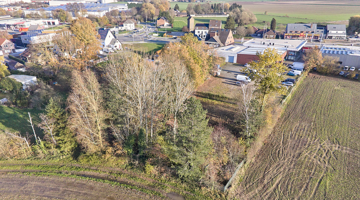 Individuele handelszaak te koop in Maasmechelen
