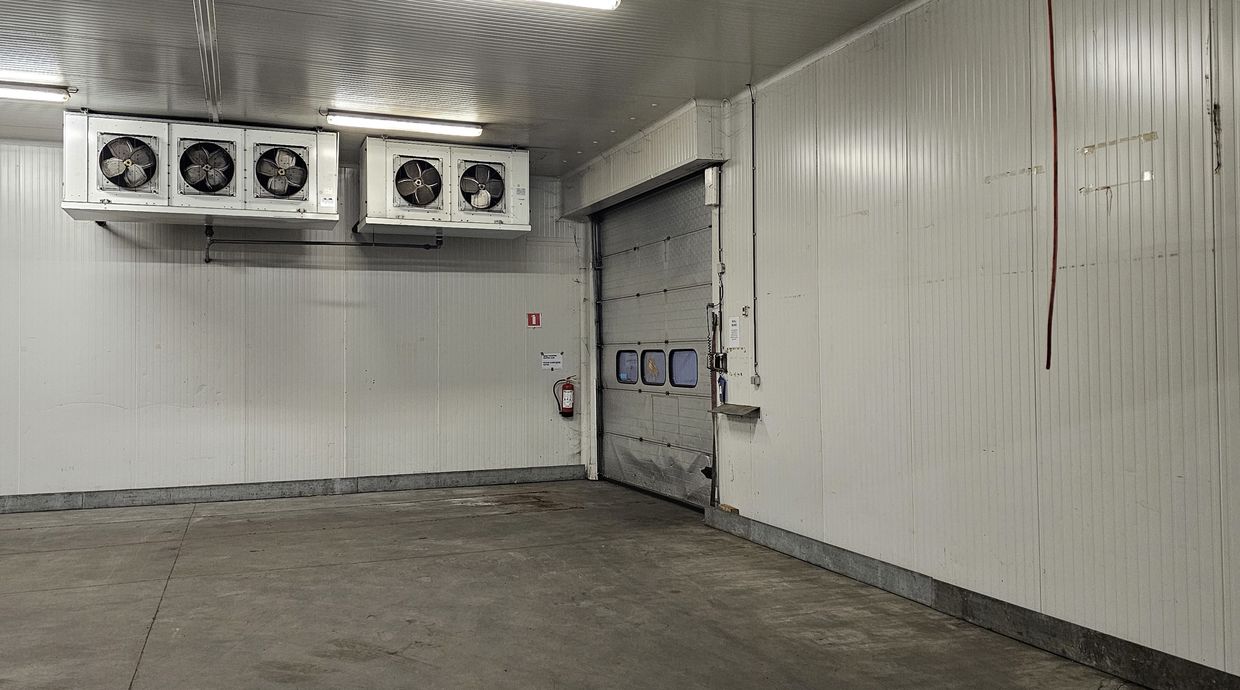 Industrieel gebouw te huur in Diest