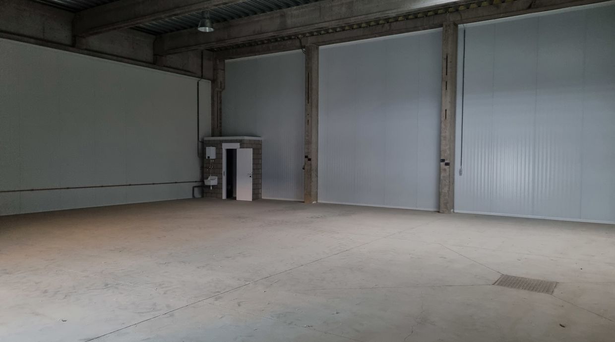 Industrieel gebouw te huur in Maaseik