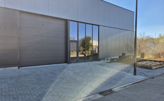 Industrieel gebouw te huur in Maaseik