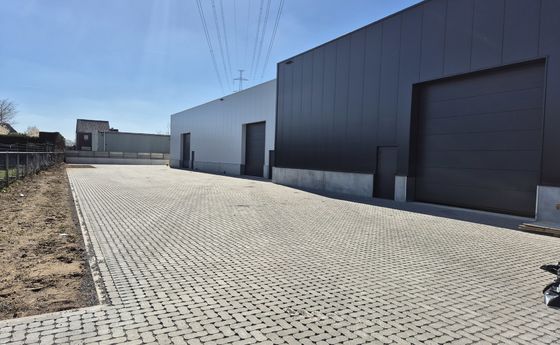 Industrieel gebouw te koop in Maaseik