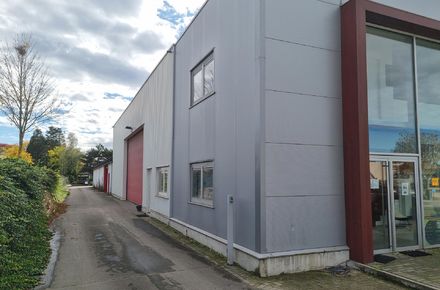 Industrieel gebouw te koop in Meeuwen-Gruitrode