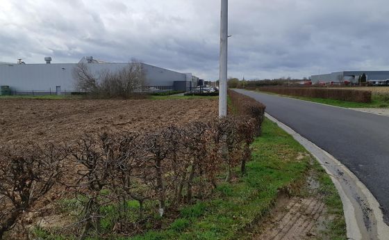 Industrieel terrein te koop in Lanaken