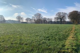 Landbouw grond te koop in Meeuwen-Gruitrode