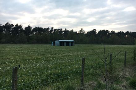 Landbouw grond te koop in Meeuwen-Gruitrode