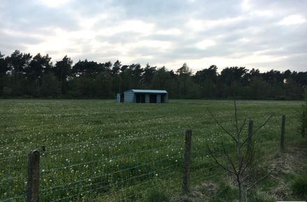 Landbouwgrond te koop in Meeuwen-Gruitrode