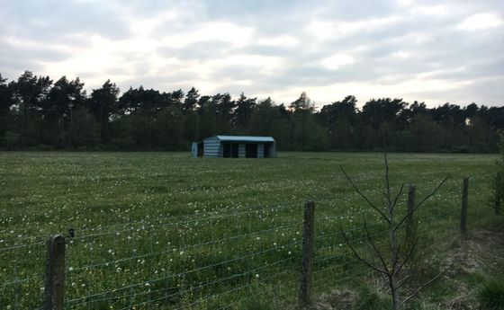Landbouwgrond te koop in Meeuwen-Gruitrode