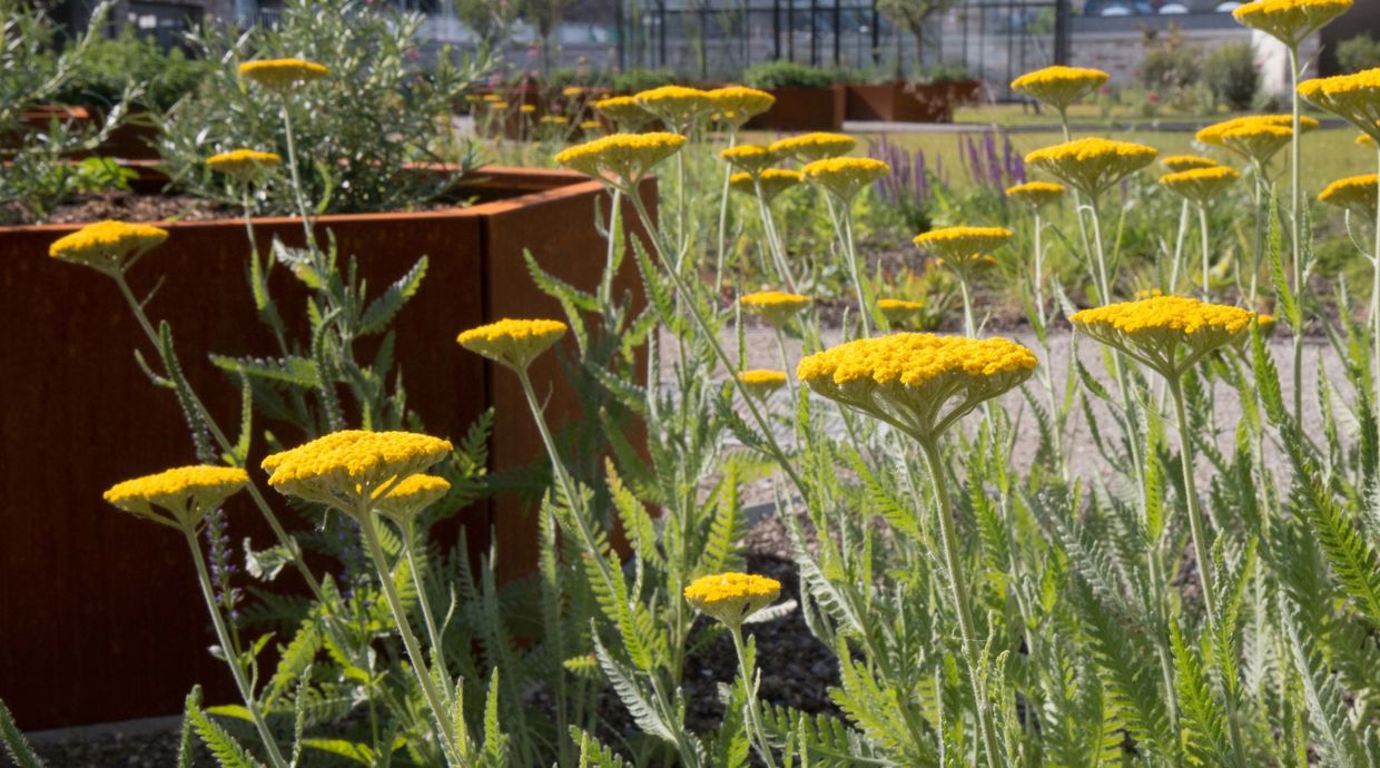 Penthouse te koop in Herselt