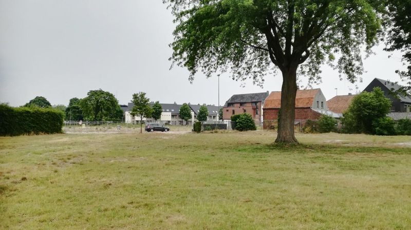 Spijbelveld